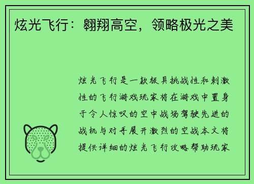炫光飞行：翱翔高空，领略极光之美
