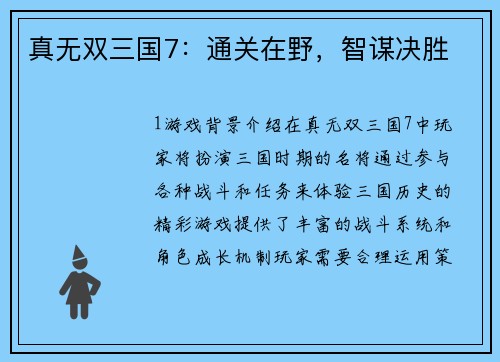真无双三国7：通关在野，智谋决胜