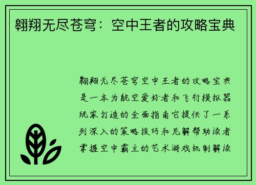翱翔无尽苍穹：空中王者的攻略宝典